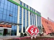 上市公司股票期权怎么用？多家公司推激励计划，行权价和业绩考核引关注