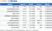 工业富联累计股票期权行权结果公布，投资者关注点在哪？
