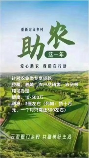 龙口农商银行：合作社贷款助力葡萄产业，资金支持从种植到产销全链条