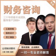 投资及财务顾问