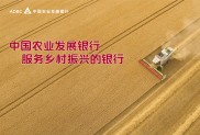 农行白银分行助力蔬菜种植合作社，解决资金难题谋发展