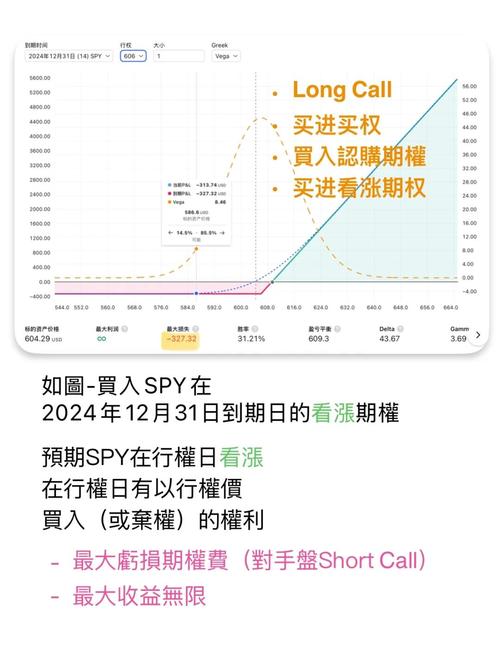 期权合约要素解析_期权交易规则与操作方法_我国股票期权采用何种交易制度