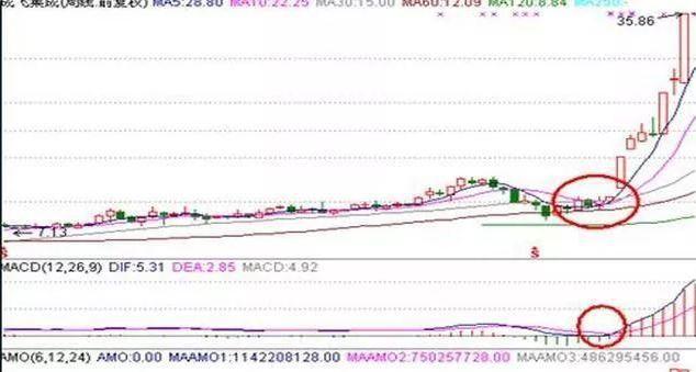 价值投资与投机行为对比_价值股票投资_巴菲特中国股市投资策略