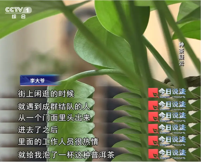 云端理财安全吗_云端种茶骗局_虚拟种茶投资