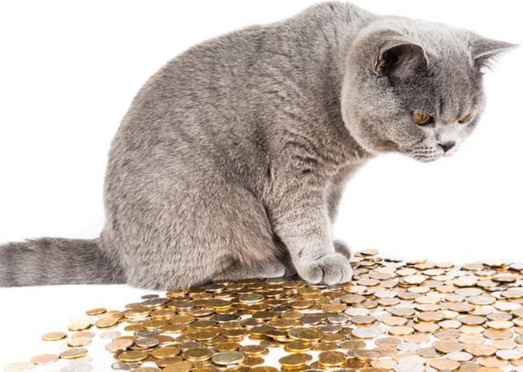 炒股开户证券公司选择_股票开户券商排名前十_低费率证券公司开户