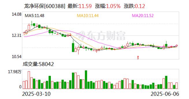 股票期权行权 会计利润_龙净环保股票期权激励计划调整行权价格_龙净环保2024年股票期权激励计划