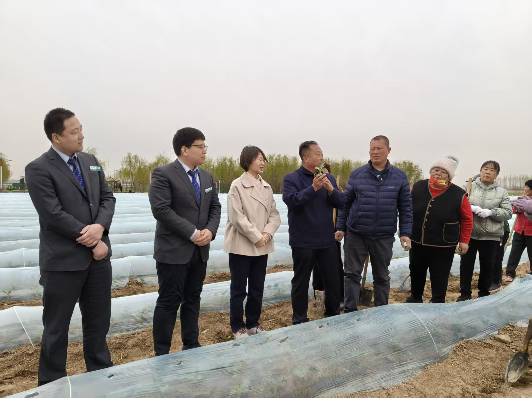 订单农业风险防控_种植专业合作社贷款_武强县果蔬产业发展模式