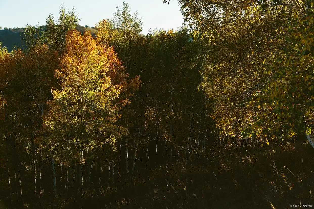 上市股票结束处理公司怎么办_上市公司股票终止的情况_未上市股票公司结束如何处理