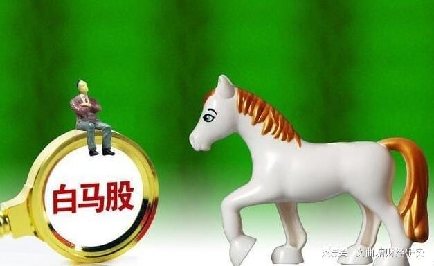 白马股投资策略_兖州煤业股票投资风险分析论文_白马股财务分析