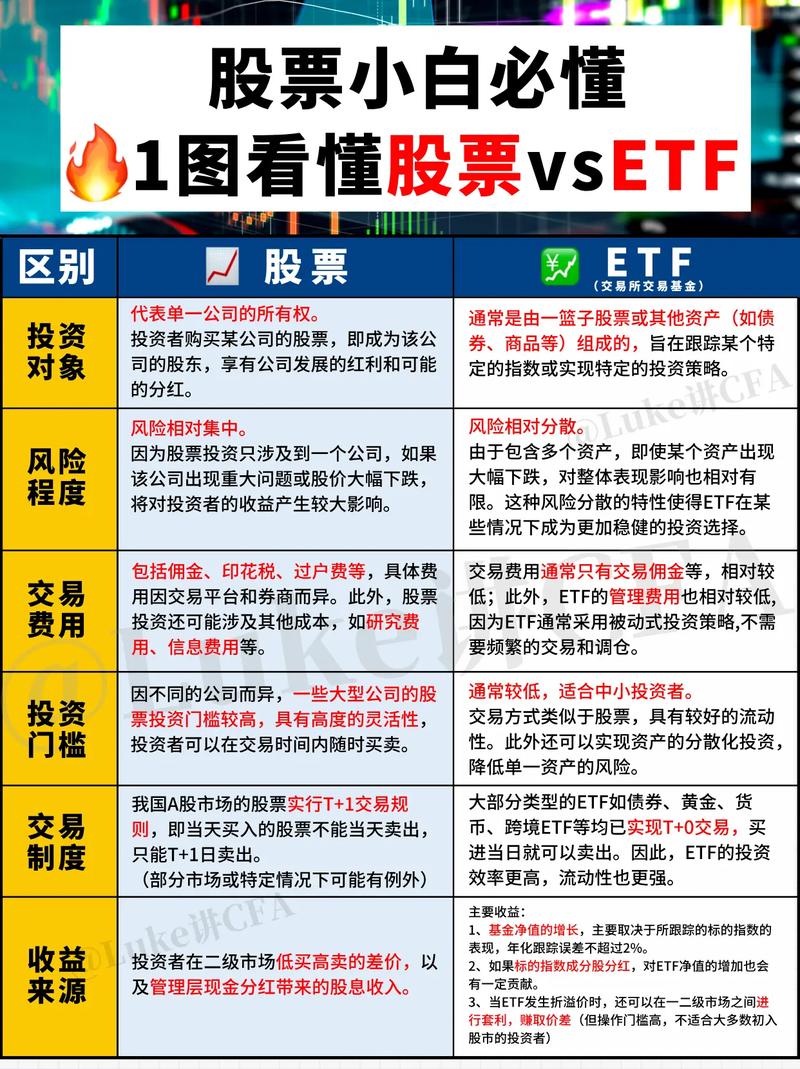 股票投资新手指南_A股T+1交易规则_股票投资入门