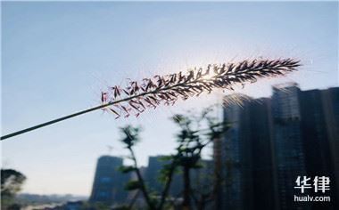 购房贷款办理后多久放款成功