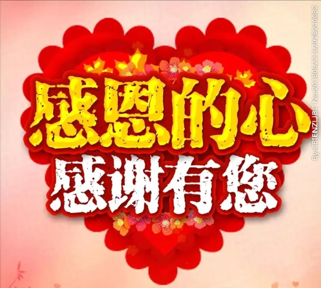 股票投资分析报告2025_价值投资理念与策略_股市投资五年心得