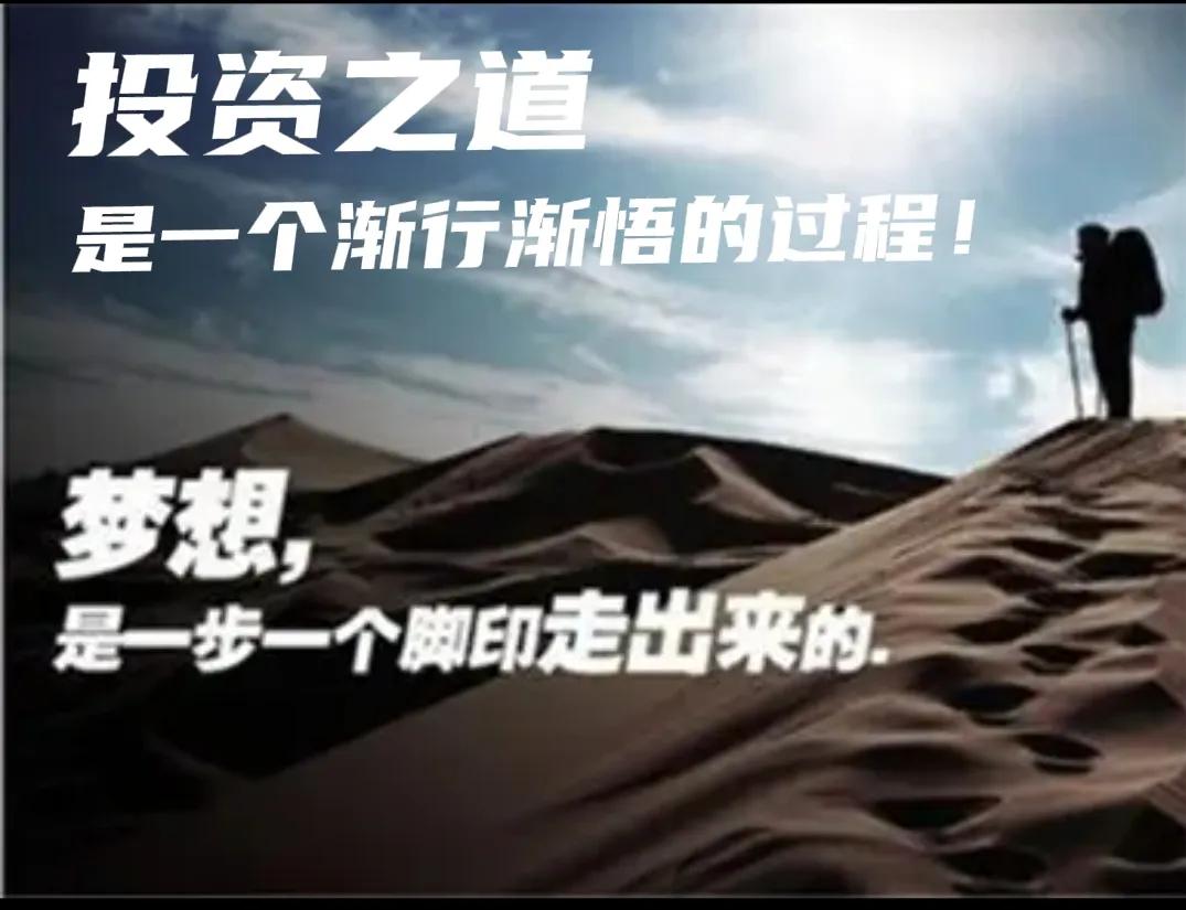 价值投资理念与策略_股票投资分析报告2025_股市投资五年心得