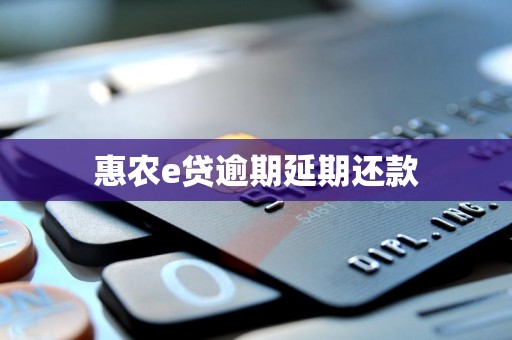 惠农e贷逾期延期还款