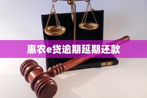 惠农e贷逾期延期还款