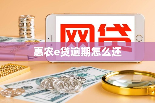 惠农e贷逾期怎么还
