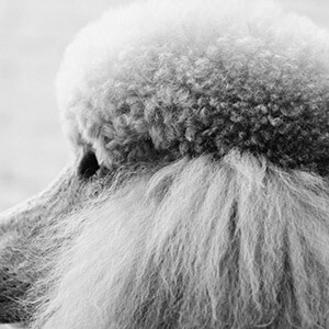 权证和股票期权的区别_公司股权转让流程_股权转让协议怎么写