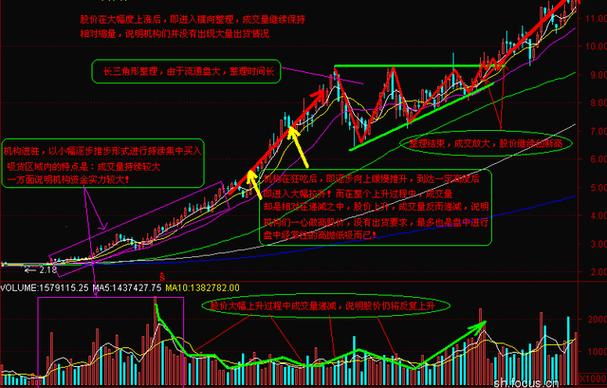 股票涨跌原理解析_CFA持证人群荐股分析_股票投资技术分析 pdf