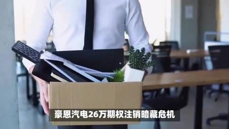 累计股票期权_豪恩汽电2024年股票期权激励计划_豪恩汽电预留股票期权授予公告